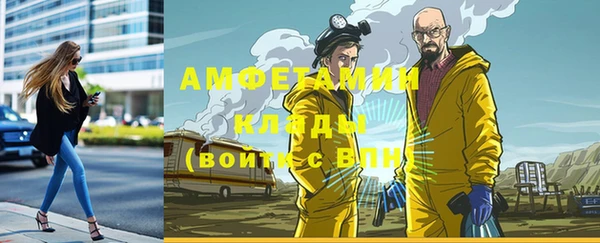 гашик Алексеевка