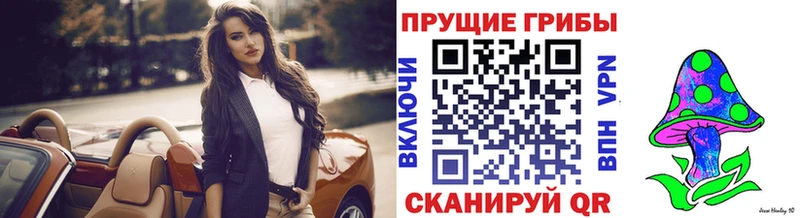 Псилоцибиновые грибы Cubensis  Кыштым 